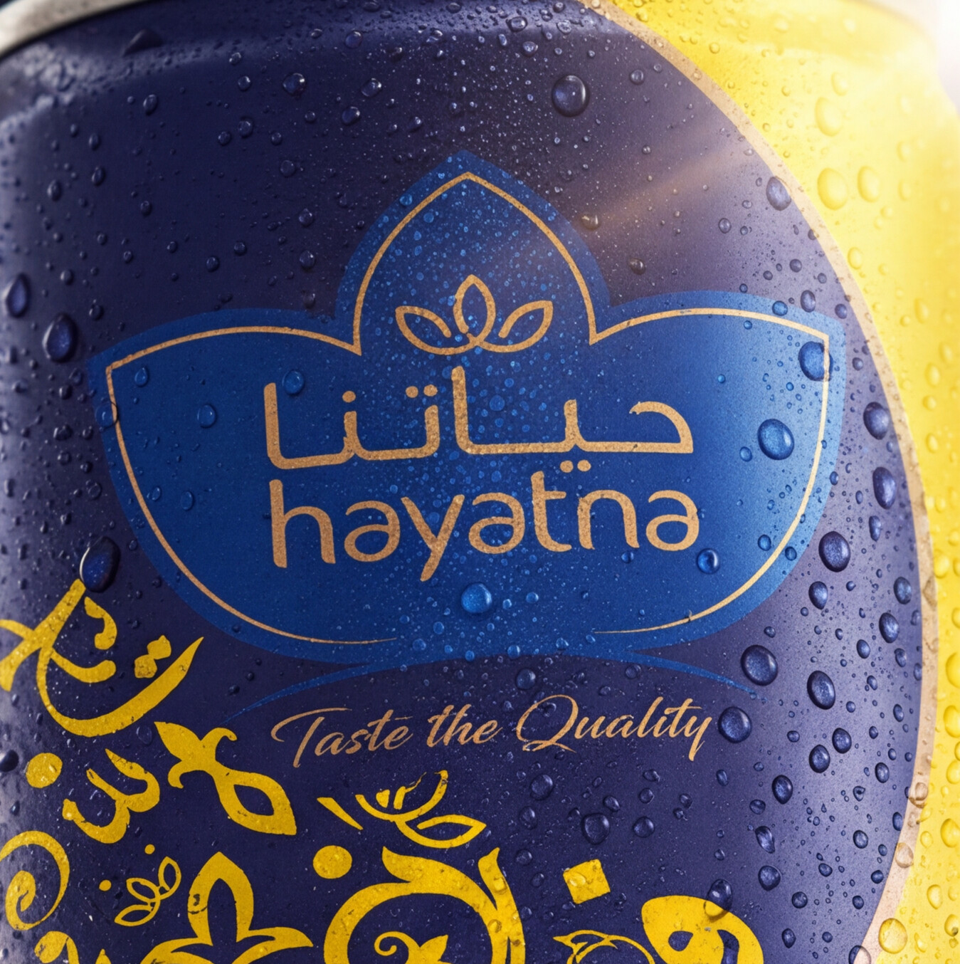حياتنا - Hayatna